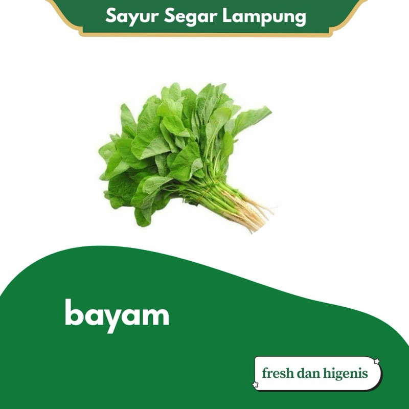 

Bayam Hijau Segar Sayur Sayuran 1 ikat