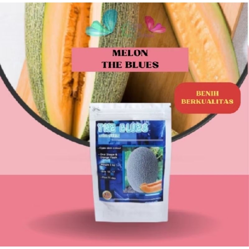 100 Biji Bibit Buah Melon The Blues Hami F1 Original