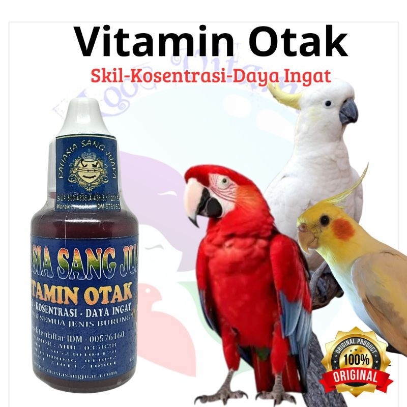 Vitamin Otak Burung Isi 30 Mil Meningkatkan Skil Konsentrasi Daya Ingat serta Kecerdasan
