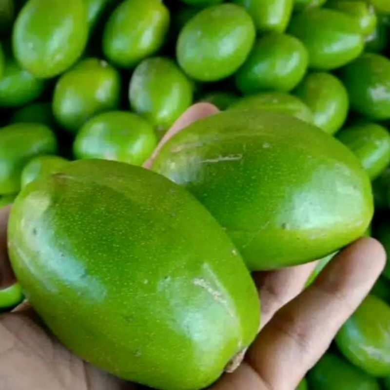 

kedondong lotisan rujaan manisan 2 kg