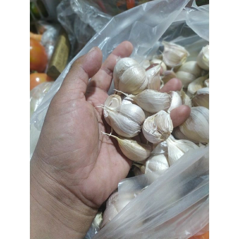 

bawang putih kating 1kg
