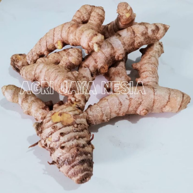 

temulawak/ temu kuning segar fresh kualitas terbaik dari hasil panen