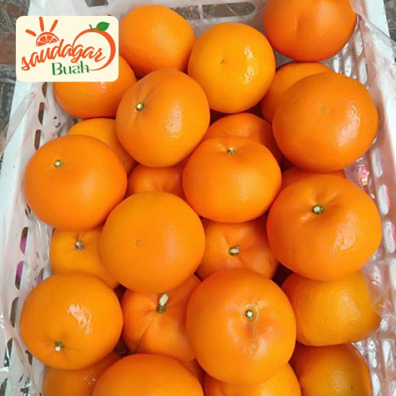 

BUAH JERUK MANDARIN WOGAN / MANDARIN WOKAM MANIS