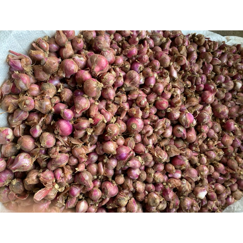 

bawang merah 1KG Grade B ukuran campur