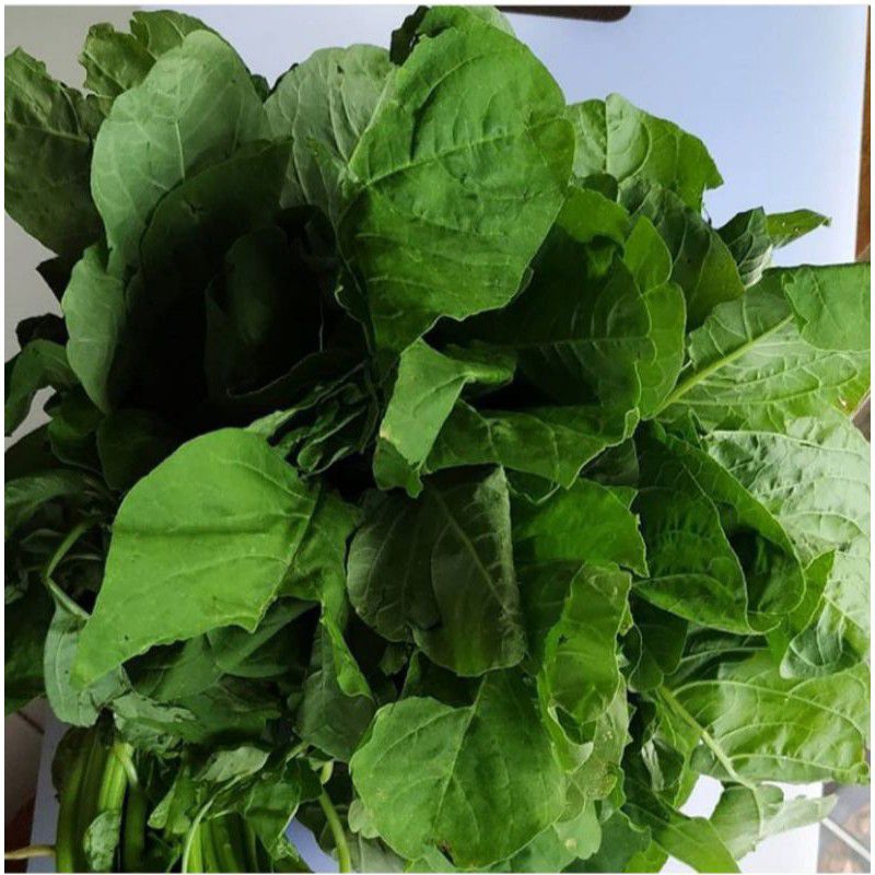 

sayur bayam per ikat