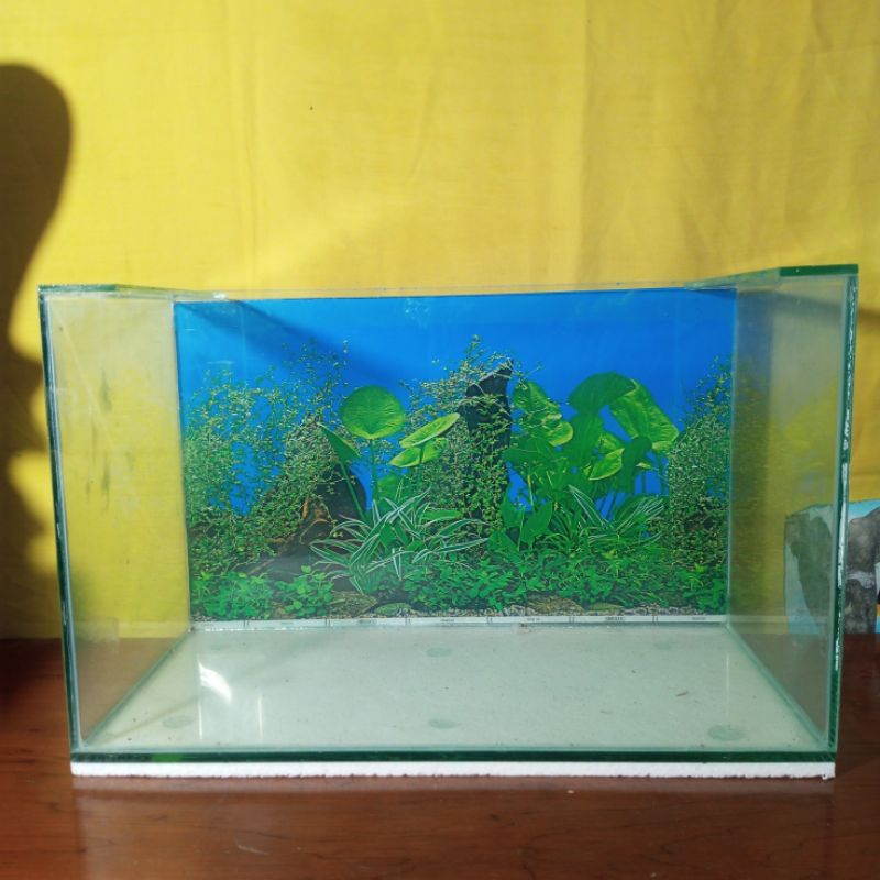 Aquarium 50x25x25