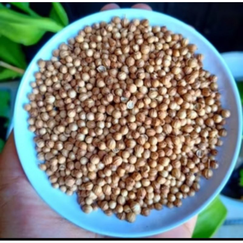 

bumbu dapur ketumbar 10 gram