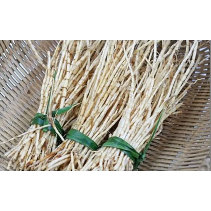 

akar alang alang segar 250gram