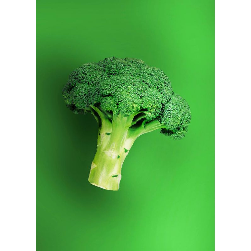 

Brokoli fresh premium 500gr