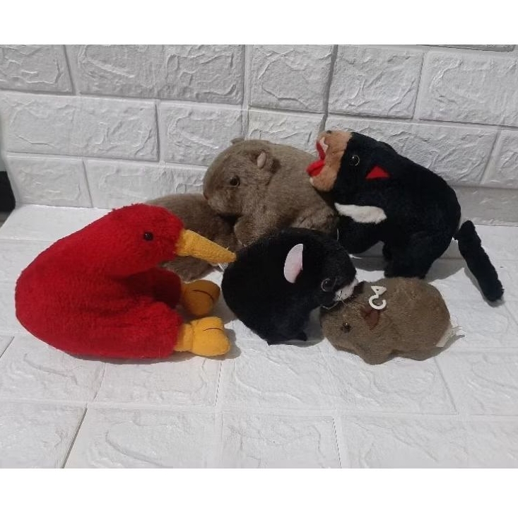boneka hewan binatang australia wombat tasmania kiwi. hewan binatang khas aussie australia selain ko