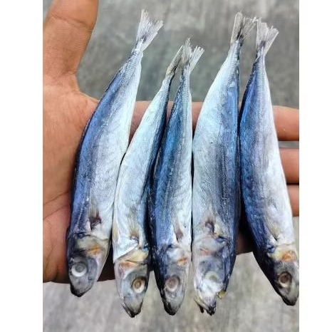 

Ikan Asin Layang / Ikan Asin Klotok 1kg
