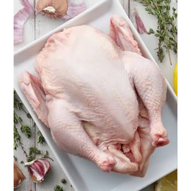 

Ayam Peren Jumbo Ukuran 4kg FRESH