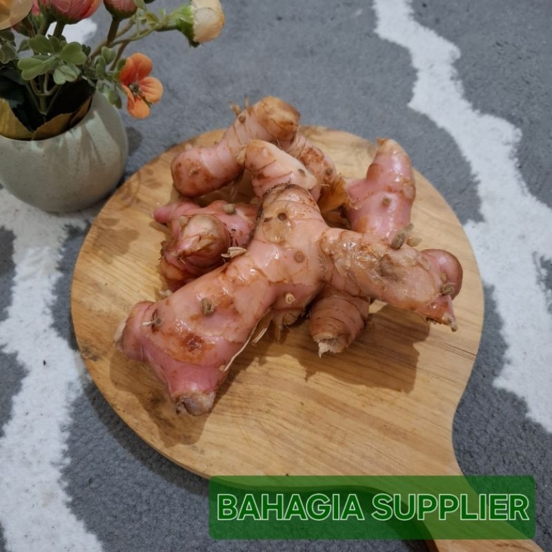 

Lengkuas (Laja) 100gr / 250gr / 500gr / 1kg