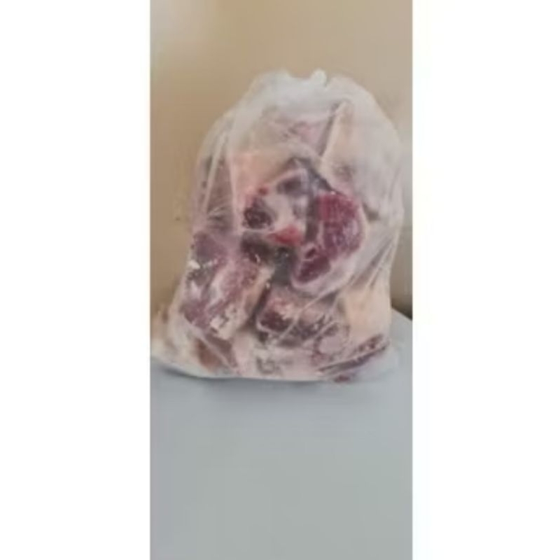 

Tulang Iga Muda