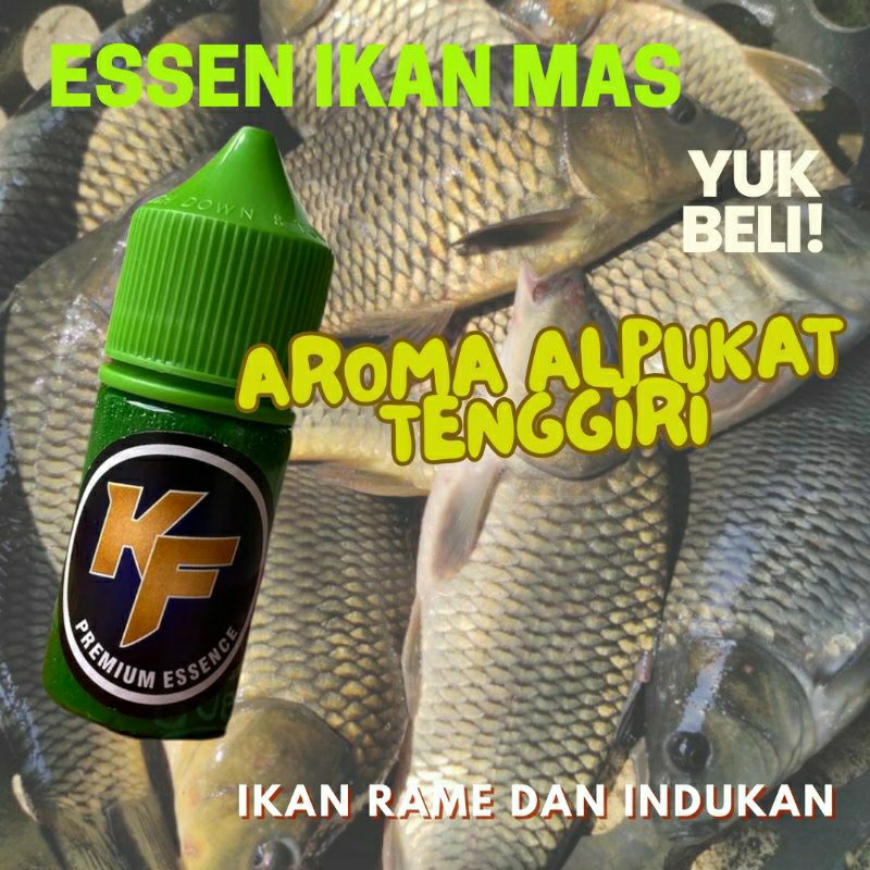 Essen Oplosan Alpukat Tenggiri Ikan Mas kualitas terbaik Essen ikan mas indukan dan rame