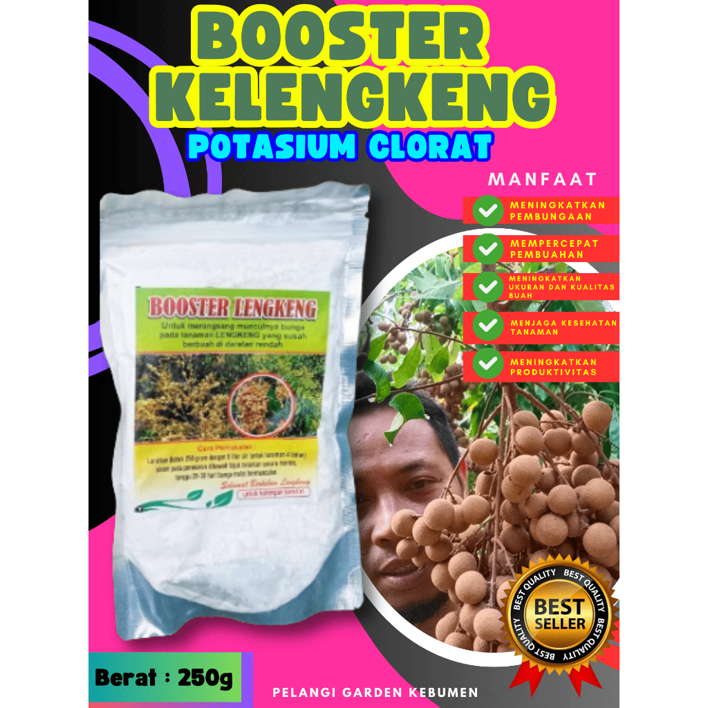 PALING DICARI  Booster Buah Kelengkeng Super, Booster Buah Kelengkeng Sudah BerbungaPALING DICARI  B
