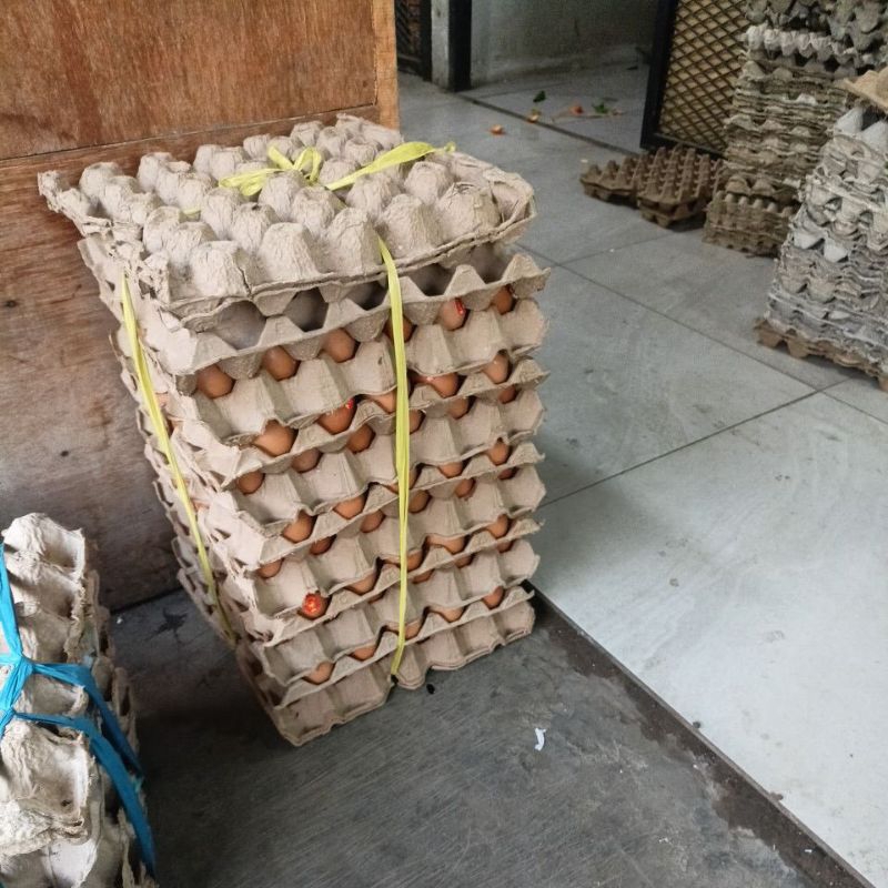 

telor 1kg