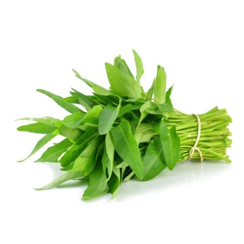 

Kangkung