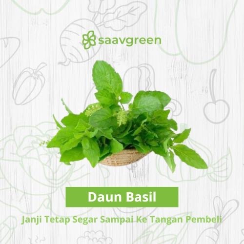 

Daun Basil Segar 250gr
