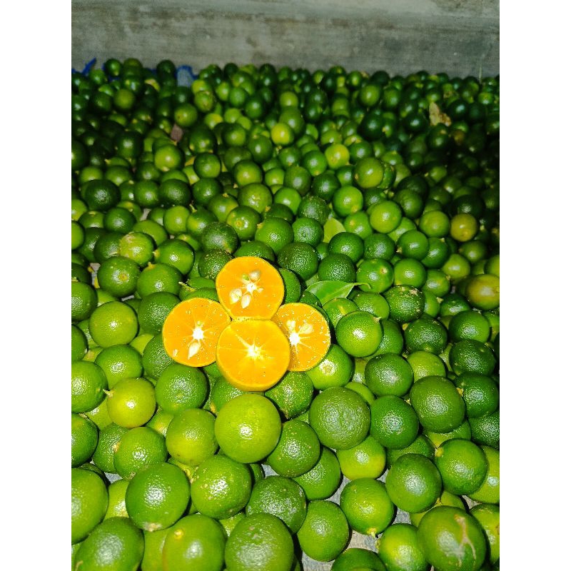 

1kg JERUK Sonkit Kasturi Lemon Cui(Hijau)