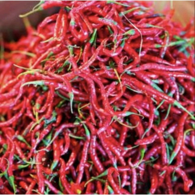 

cabai keriting merah 100 % segar 500 gr