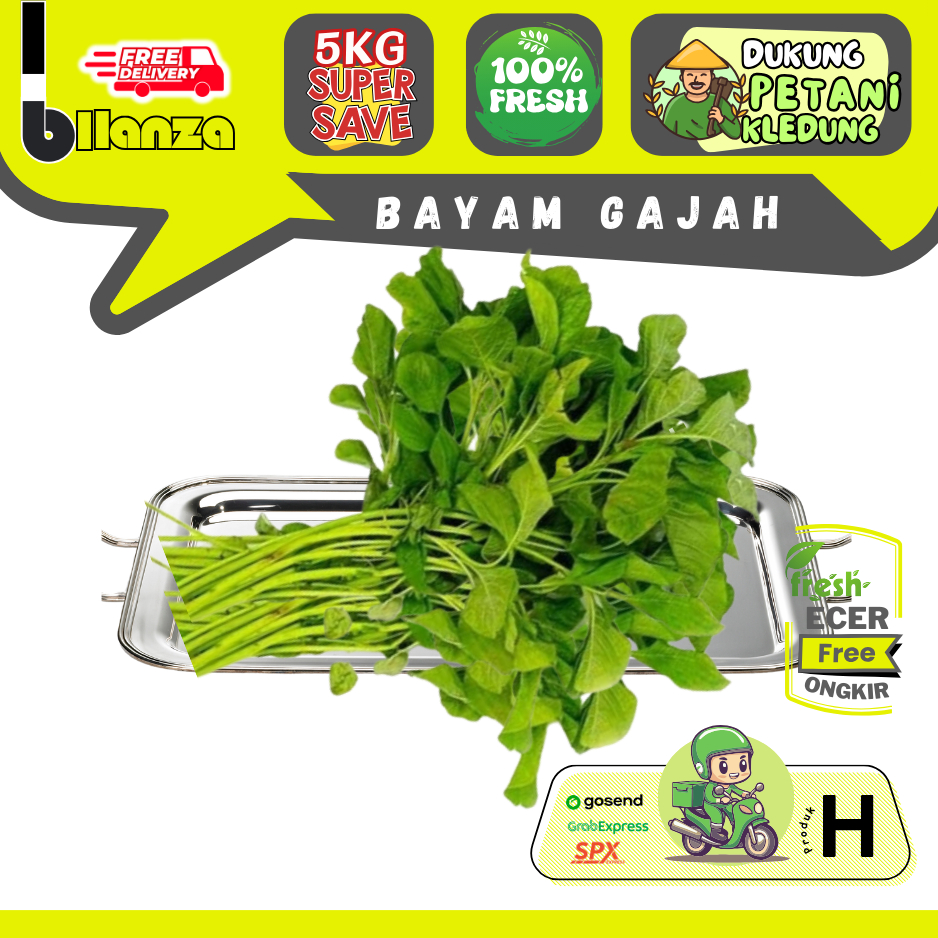 

Bllanza | Bayam Gajah — Sayur Gunung ECER (H)
