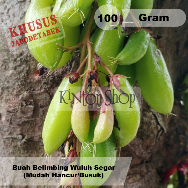 

Buah Belimbing Wuluh 100 Gram