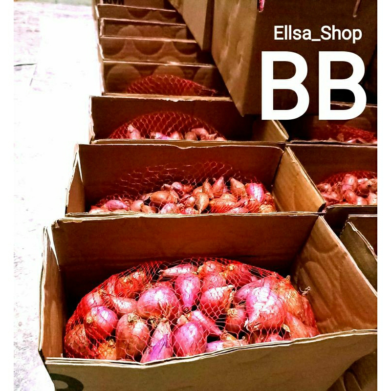 

1/2 KG Bawang Merah Brebes, Asli Brebes super promo. ukuran sedang