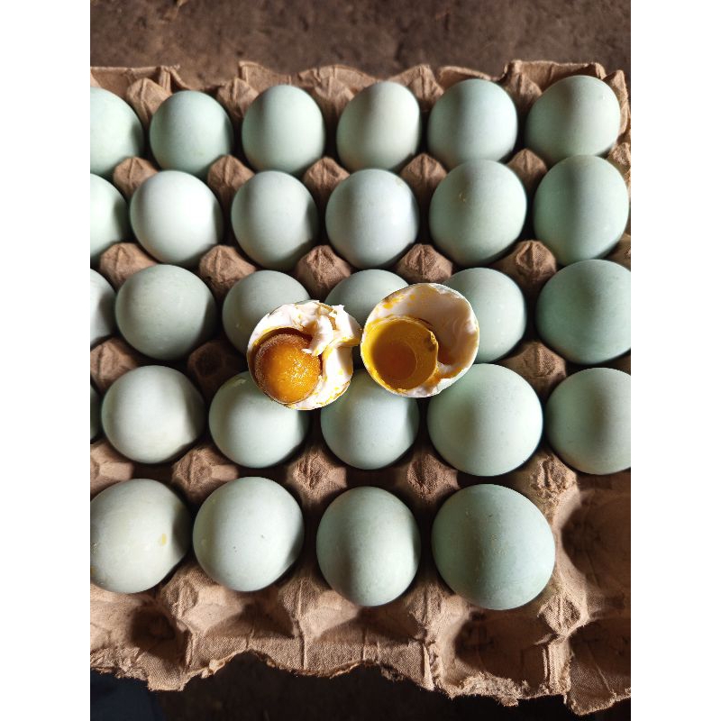 

TELOR ASIN REBUS isi 10