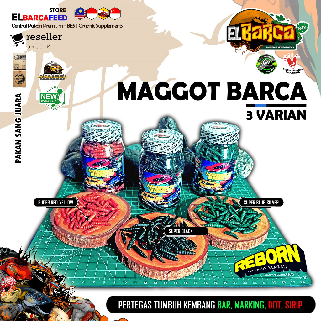MAGGOT BARCA SUPER RED BLUE BLACK Maggot Kering makanan ikan channa predator reptile