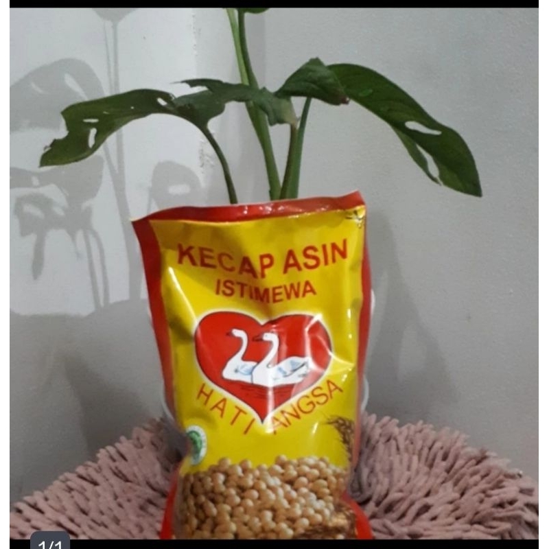 

Kecap Asin Cap Angsa (600 mil )