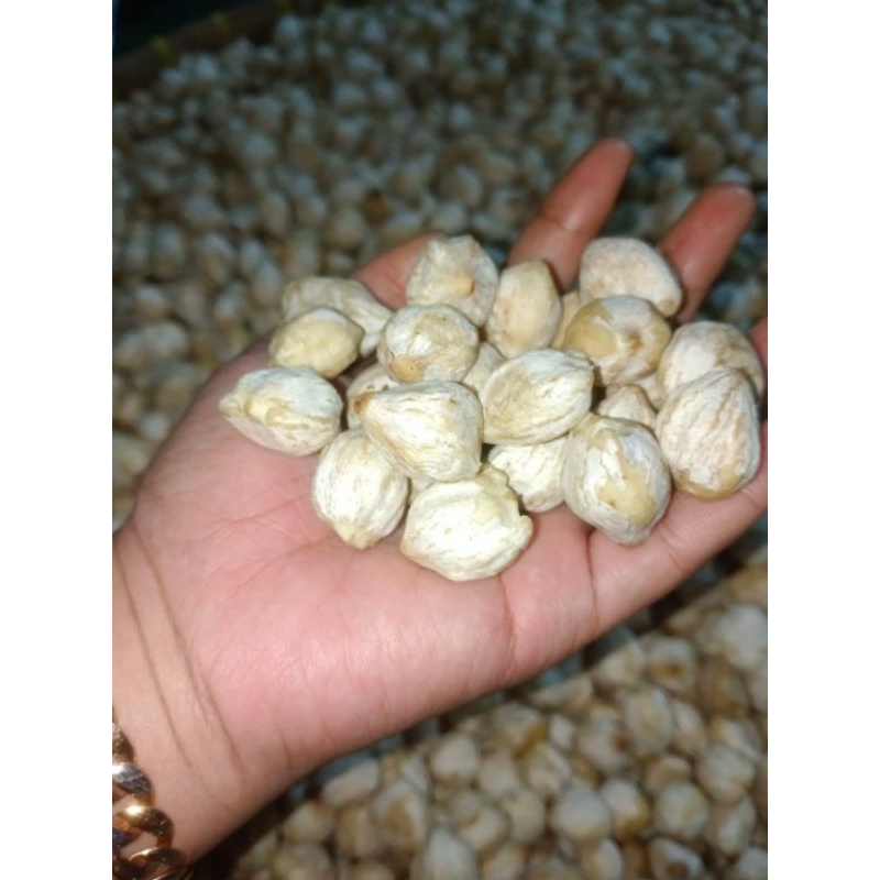 

KEMIRI BULAT UTUH 1 KG