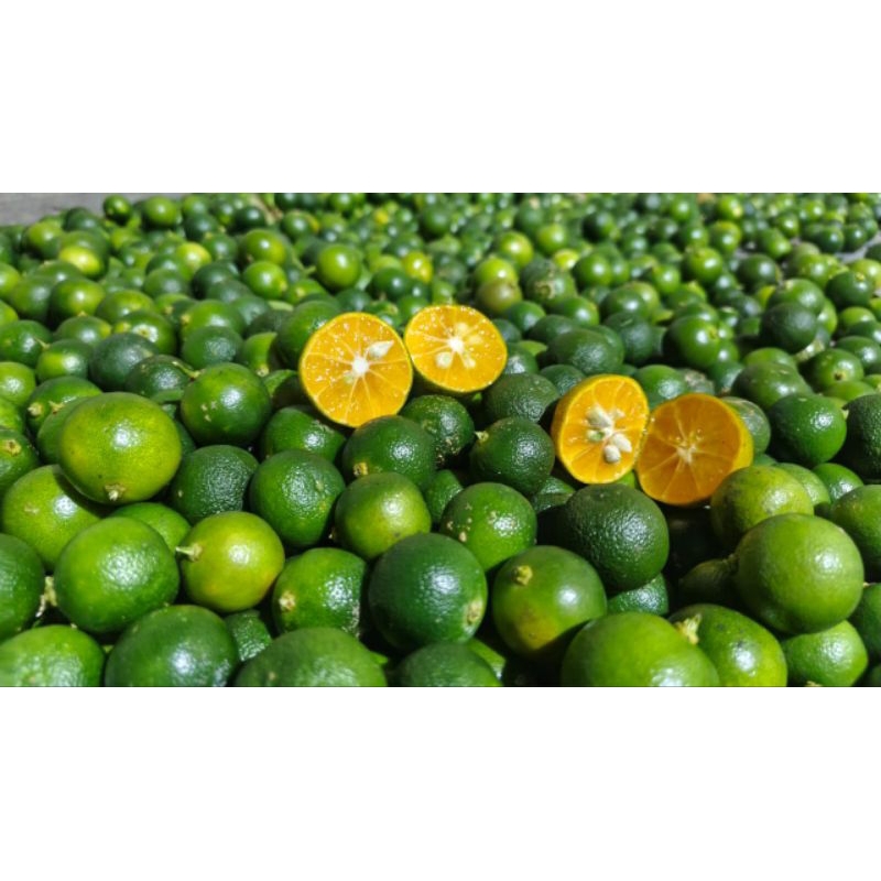 

5kg jeruk sonkit