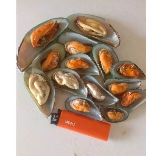 Kerang Hijau Kupas sebelah Kerang ijo Kupas cangkang