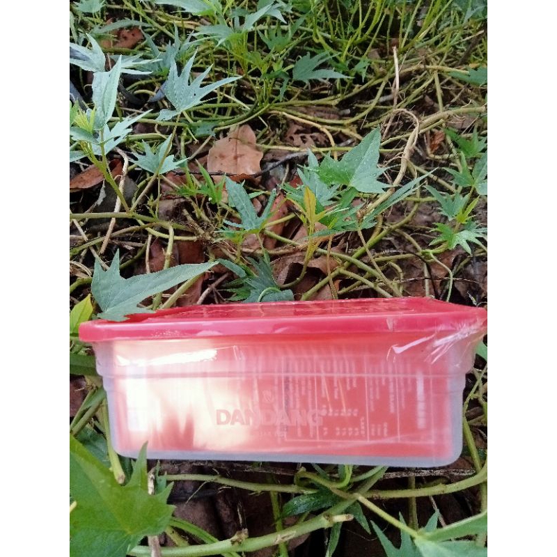 

TEH DANDANG celup 2 kotak free box plastik cantik