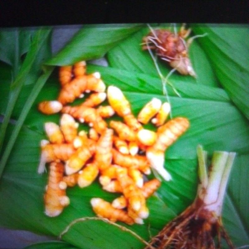 

kunyit/500gram