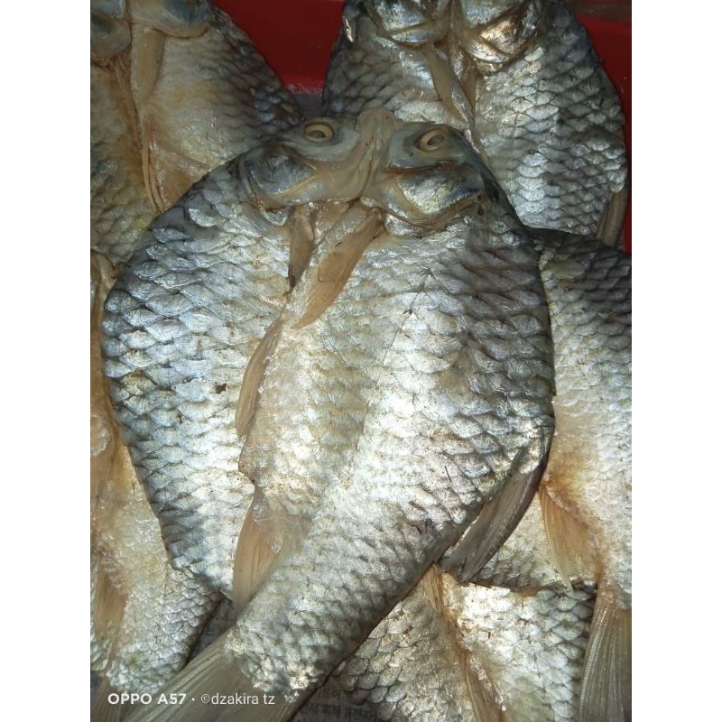 

asin tawes (250gram)