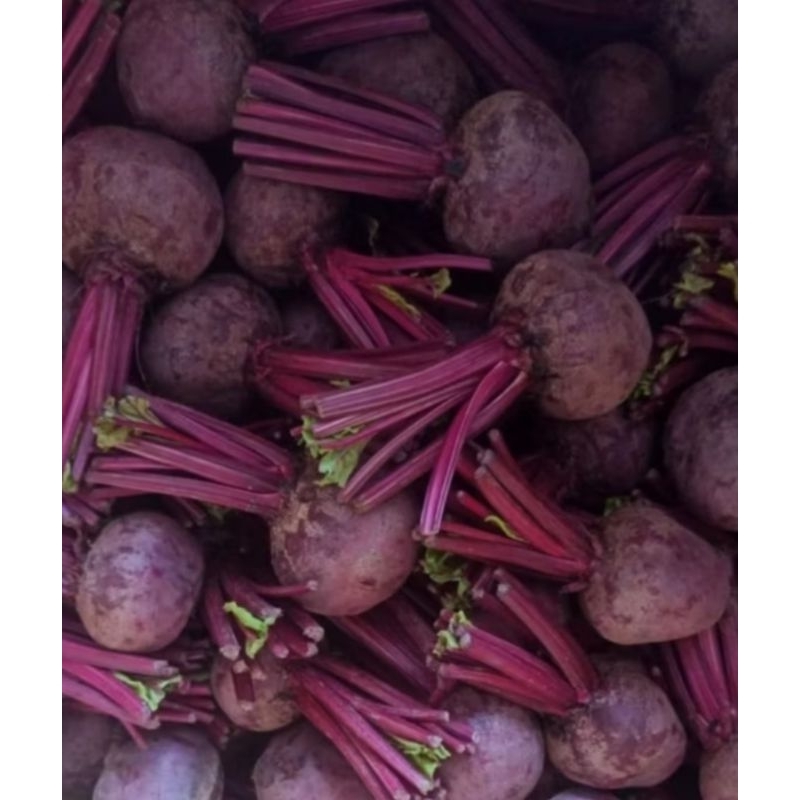

buah bit beetroot beet root