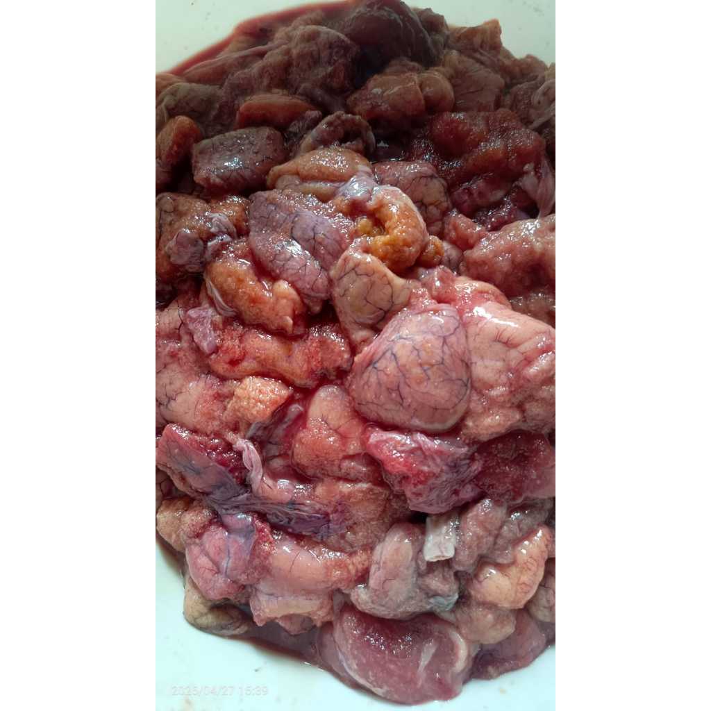 TELUR IKAN PATIN TINGGI PROTEIN COCOK UNTUK UMPAN GALATAMA LELE, TOMBRO, BAWAL || HARGA 250GR