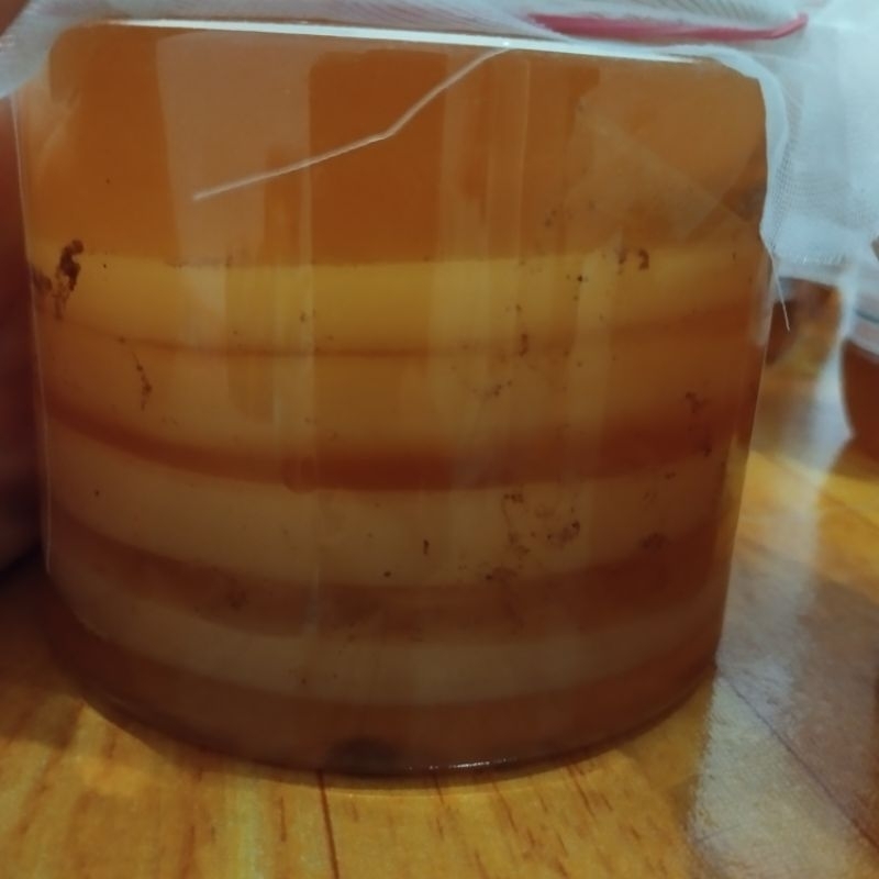 

BIBIT SCOOBY KOMBUCHA ORGANIC ( Diameter 10cm) free starter 150 ml