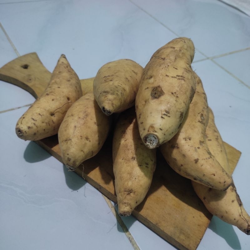 

Ubi madu cilembu manis spek oven