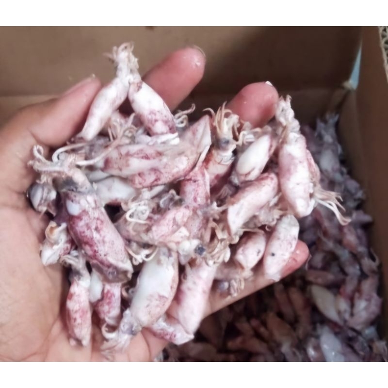 

Baby Cumi/CUMI REBUS telur Lezatto Termurah✔️