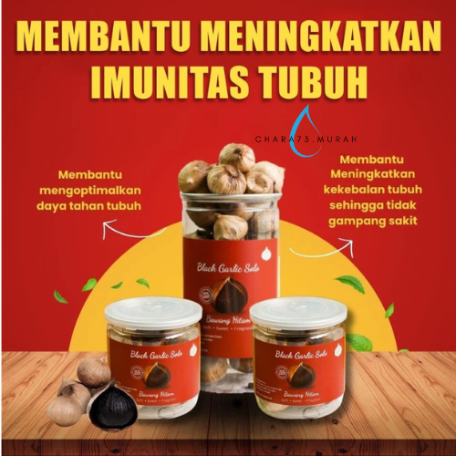 

Terbaik HSD Black Garlic Solo ( Bawang Hitam Tunggal) 220 Gr QT01