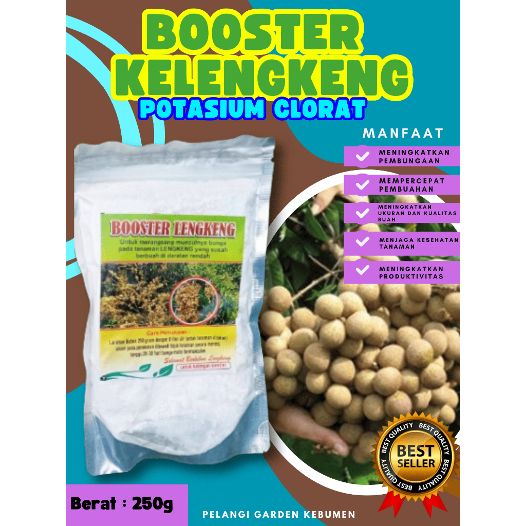 UNGGULAN ! Booster Buah Kelengkeng Sudah Berbunga, Booster Buah Kelengkeng Siap Berbuah, Booster Bua