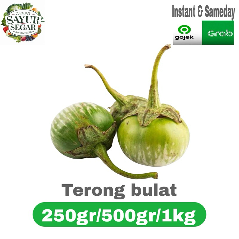 

TERONG bulat/ TERONG lalap segar 250gr/500gr/1kg