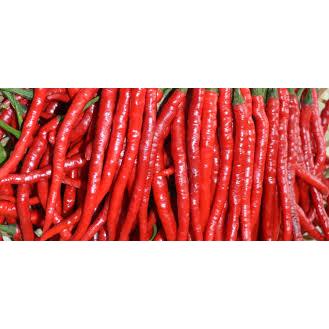 

WP - Cabe Kriting / Cabai Merah Keriting 250 Gram / 500 Gram / 1 Kilogram