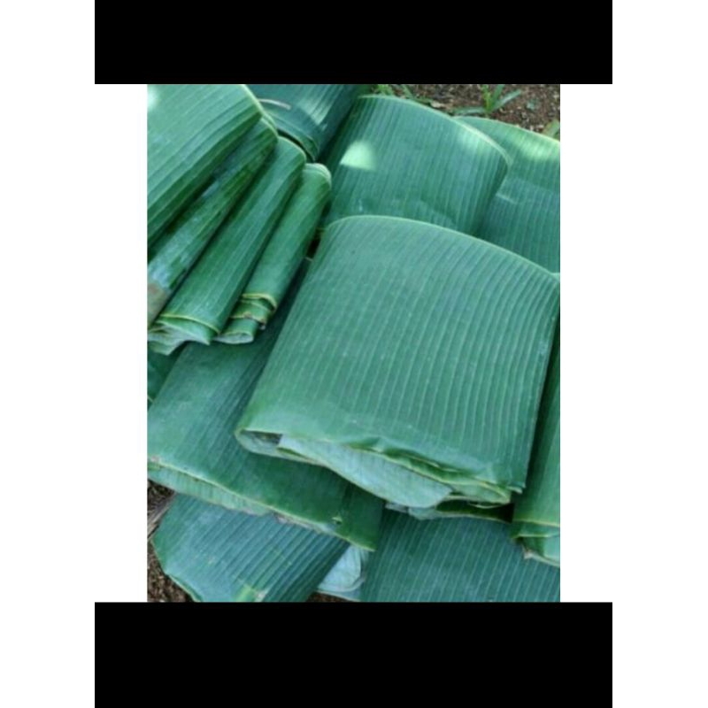 

daun pisang manggala segar alami dadakan untuk bungkus makanan dll 1kg murah