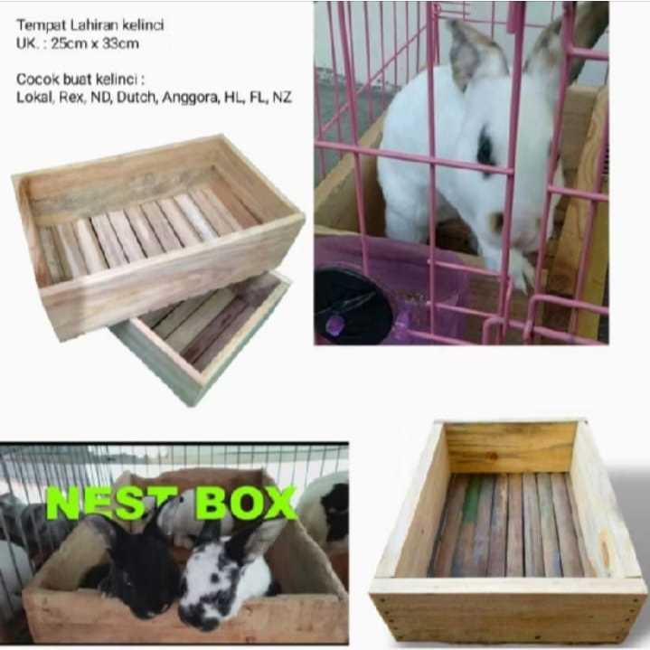 Nestbox kelinci, Tempat Lahiran kelinci, Nestbox indukan beranak kelinci
