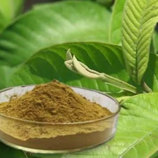 

Bubuk Serbuk Daun Jambu Biji 1 kg kiloan