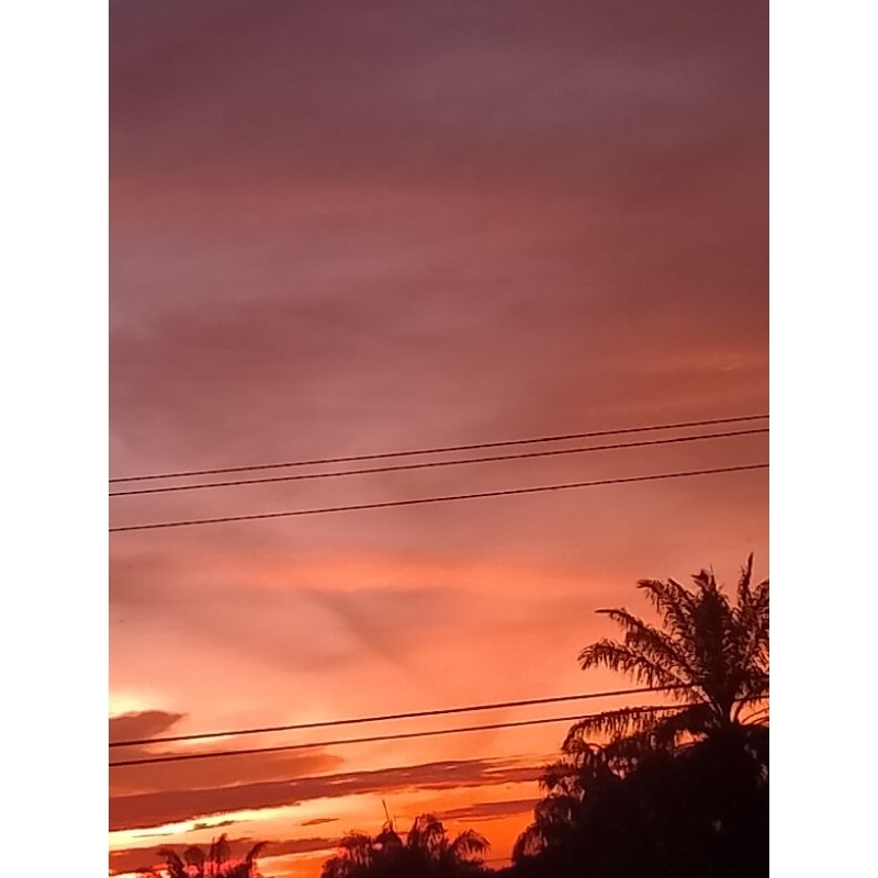 

jeruk orange rasa enak dibadan